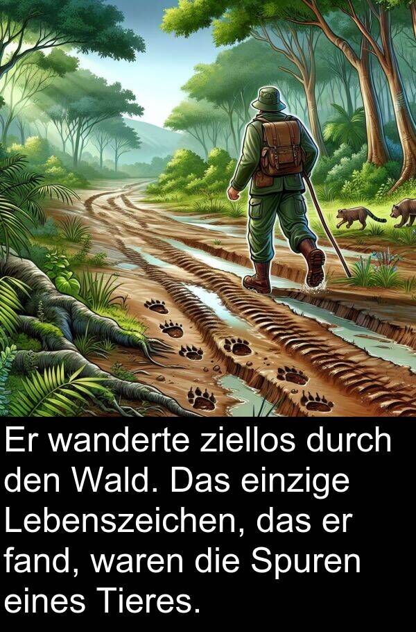 wanderte: Er wanderte ziellos durch den Wald. Das einzige Lebenszeichen, das er fand, waren die Spuren eines Tieres.