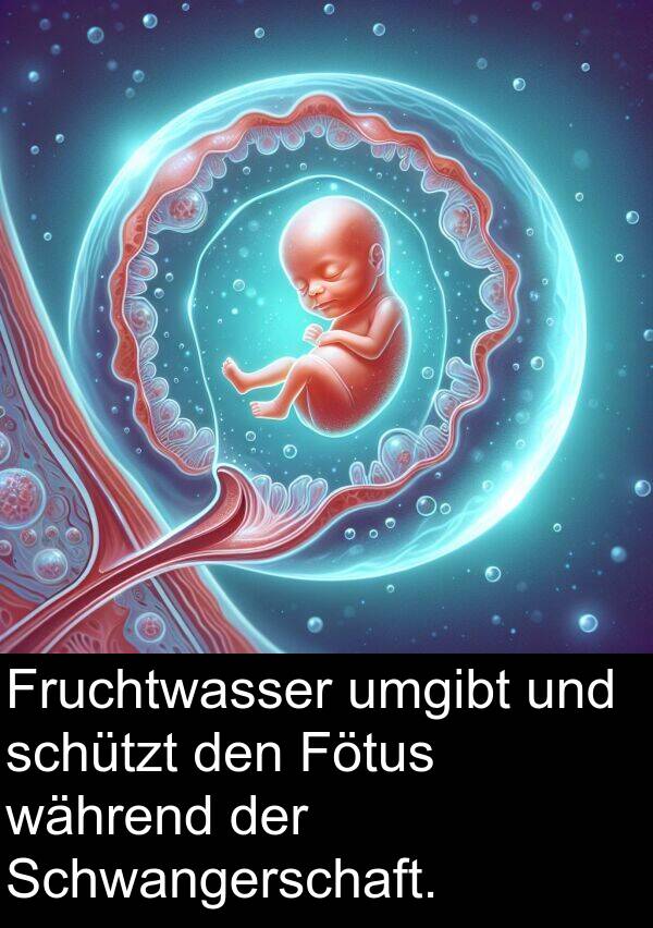 Fruchtwasser: Fruchtwasser umgibt und schützt den Fötus während der Schwangerschaft.