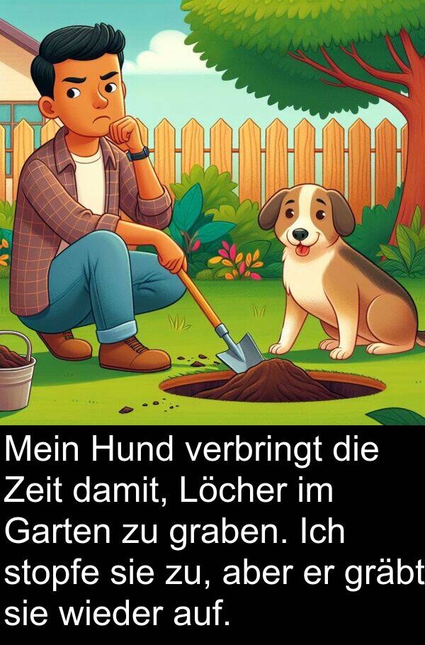 wieder: Mein Hund verbringt die Zeit damit, Löcher im Garten zu graben. Ich stopfe sie zu, aber er gräbt sie wieder auf.