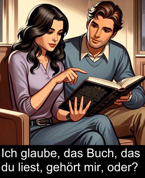 liest: Ich glaube, das Buch, das du liest, gehört mir, oder?