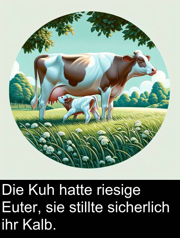 riesige: Die Kuh hatte riesige Euter, sie stillte sicherlich ihr Kalb.