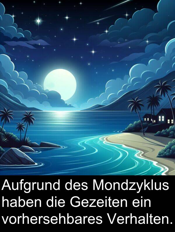 Mondzyklus: Aufgrund des Mondzyklus haben die Gezeiten ein vorhersehbares Verhalten.