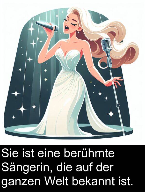 berühmte: Sie ist eine berühmte Sängerin, die auf der ganzen Welt bekannt ist.