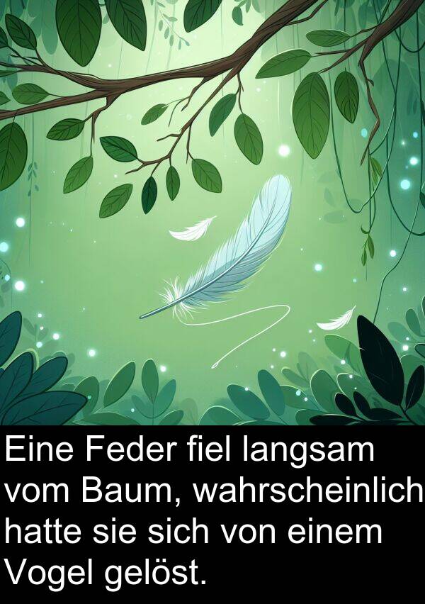 fiel: Eine Feder fiel langsam vom Baum, wahrscheinlich hatte sie sich von einem Vogel gelöst.