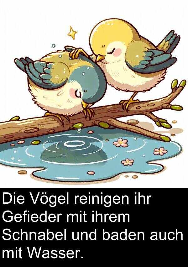 baden: Die Vögel reinigen ihr Gefieder mit ihrem Schnabel und baden auch mit Wasser.