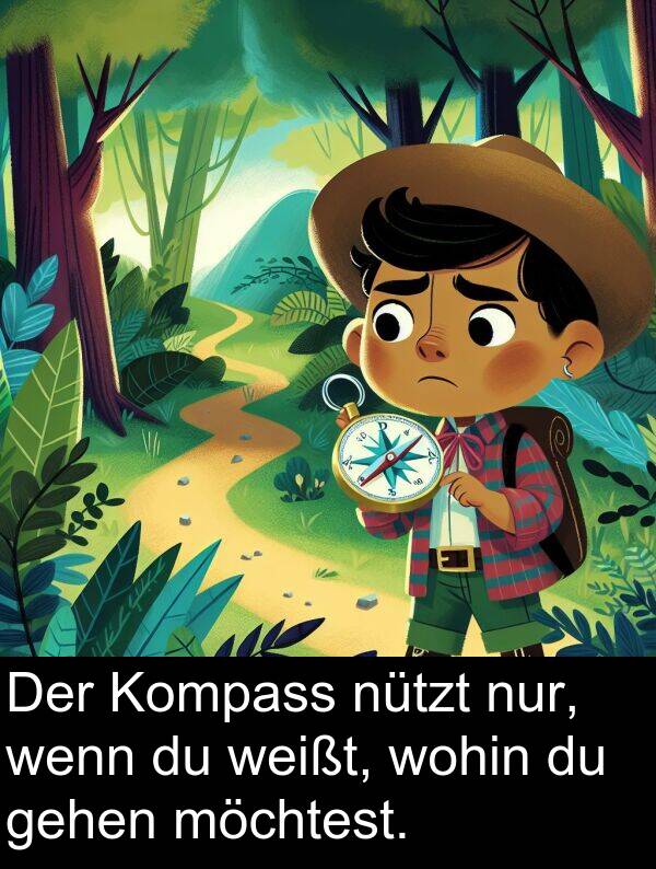 Kompass: Der Kompass nützt nur, wenn du weißt, wohin du gehen möchtest.