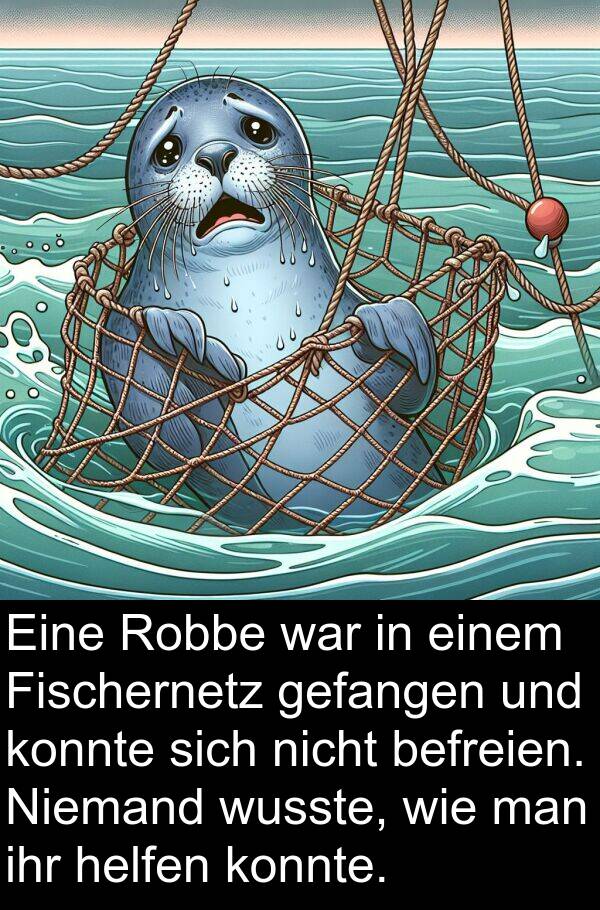 wusste: Eine Robbe war in einem Fischernetz gefangen und konnte sich nicht befreien. Niemand wusste, wie man ihr helfen konnte.