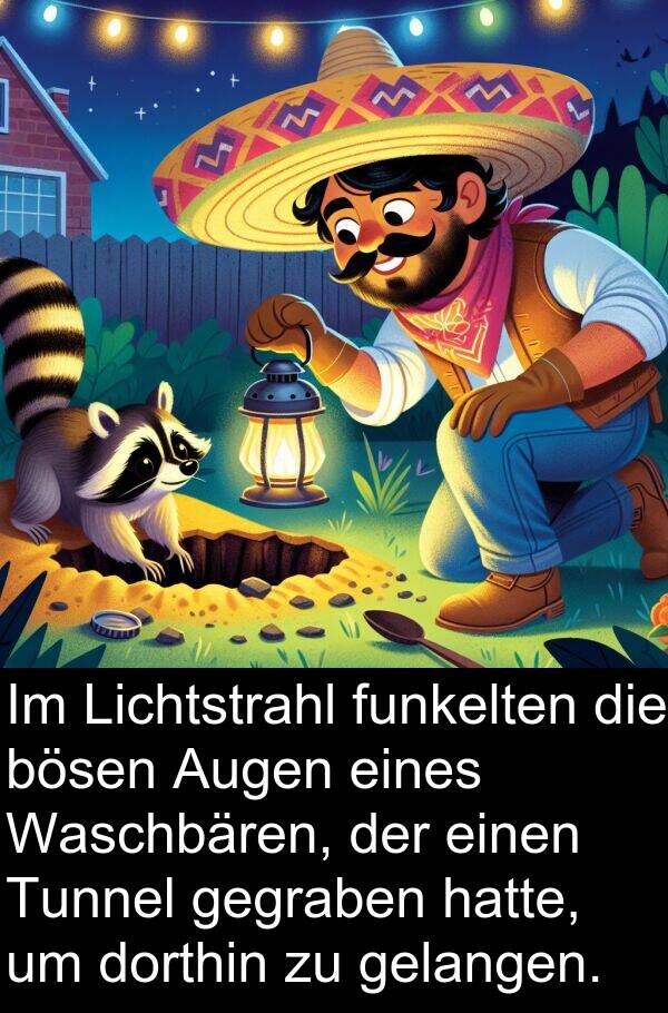dorthin: Im Lichtstrahl funkelten die bösen Augen eines Waschbären, der einen Tunnel gegraben hatte, um dorthin zu gelangen.