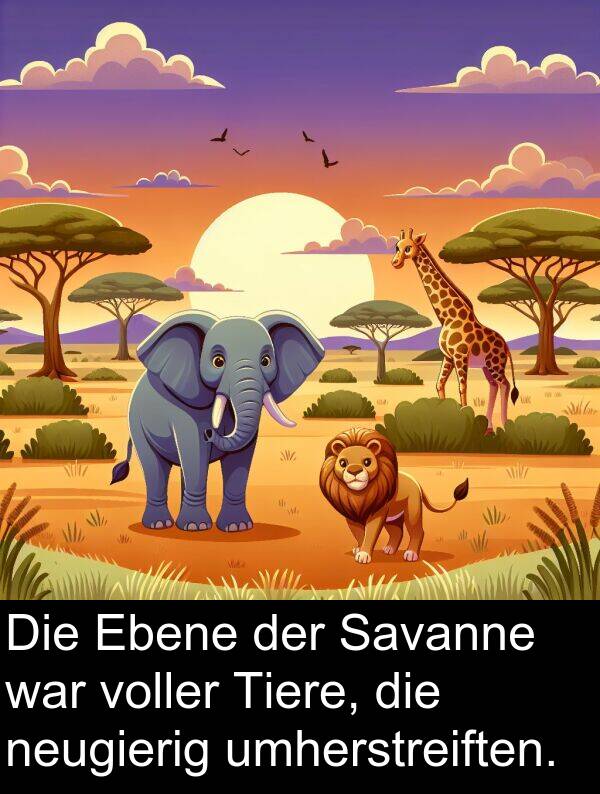 voller: Die Ebene der Savanne war voller Tiere, die neugierig umherstreiften.