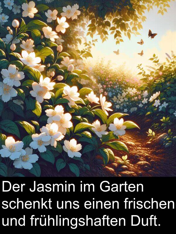 Jasmin: Der Jasmin im Garten schenkt uns einen frischen und frühlingshaften Duft.