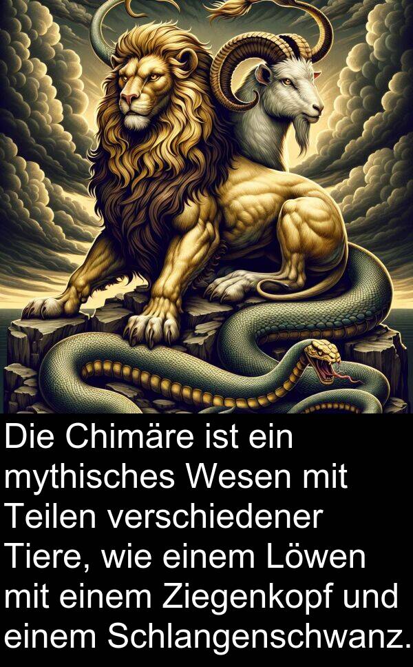 Chimäre: Die Chimäre ist ein mythisches Wesen mit Teilen verschiedener Tiere, wie einem Löwen mit einem Ziegenkopf und einem Schlangenschwanz.