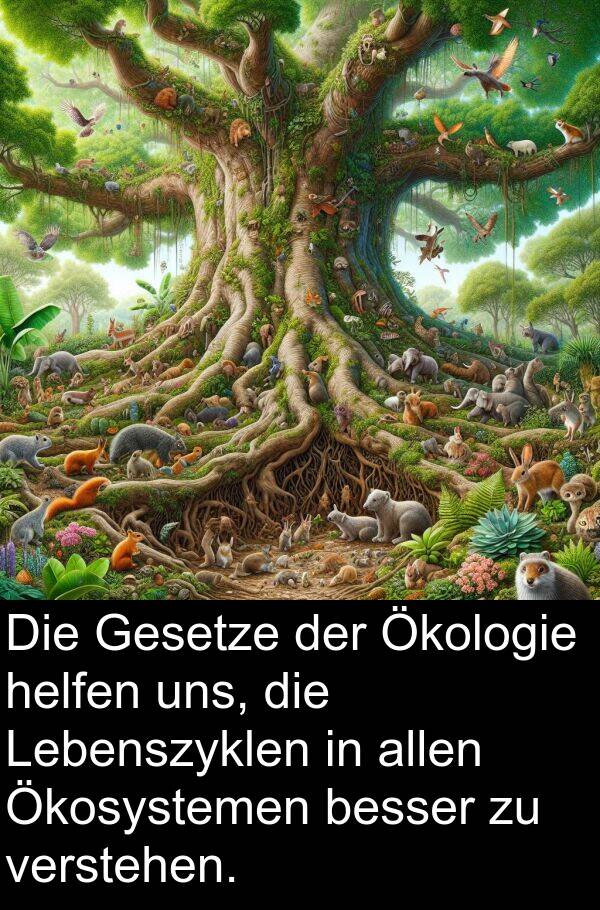 Gesetze: Die Gesetze der Ökologie helfen uns, die Lebenszyklen in allen Ökosystemen besser zu verstehen.