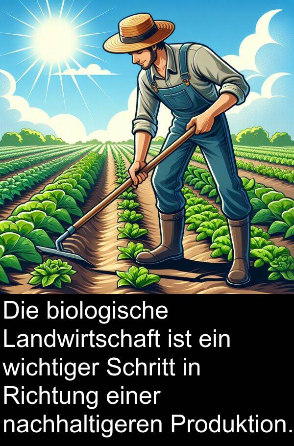 Richtung: Die biologische Landwirtschaft ist ein wichtiger Schritt in Richtung einer nachhaltigeren Produktion.