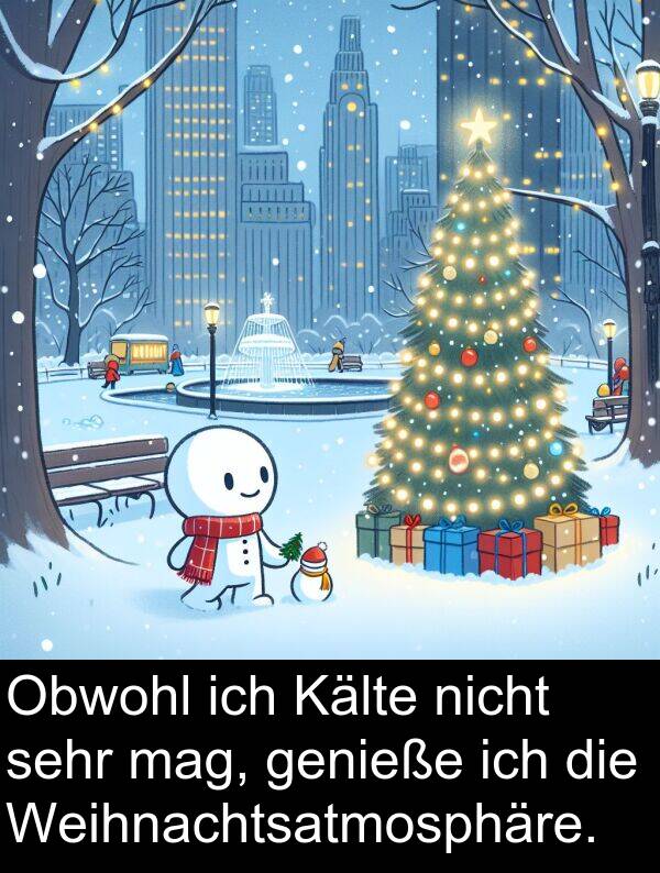 mag: Obwohl ich Kälte nicht sehr mag, genieße ich die Weihnachtsatmosphäre.