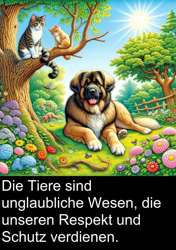 Respekt: Die Tiere sind unglaubliche Wesen, die unseren Respekt und Schutz verdienen.