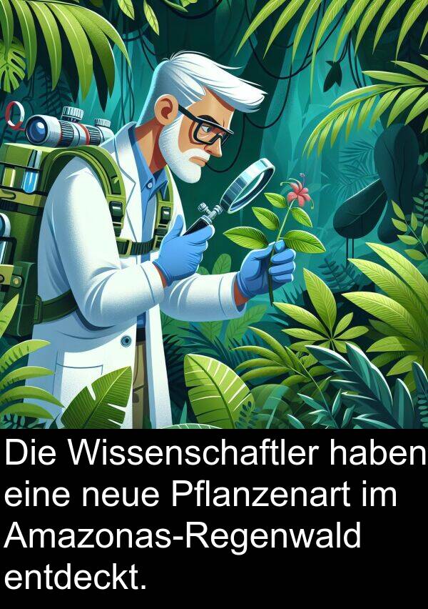 neue: Die Wissenschaftler haben eine neue Pflanzenart im Amazonas-Regenwald entdeckt.