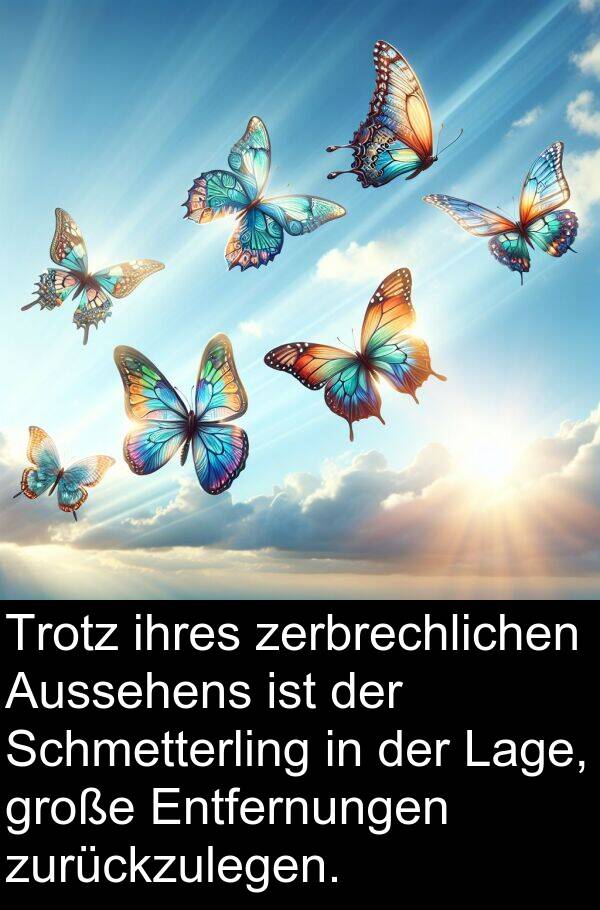 Aussehens: Trotz ihres zerbrechlichen Aussehens ist der Schmetterling in der Lage, große Entfernungen zurückzulegen.