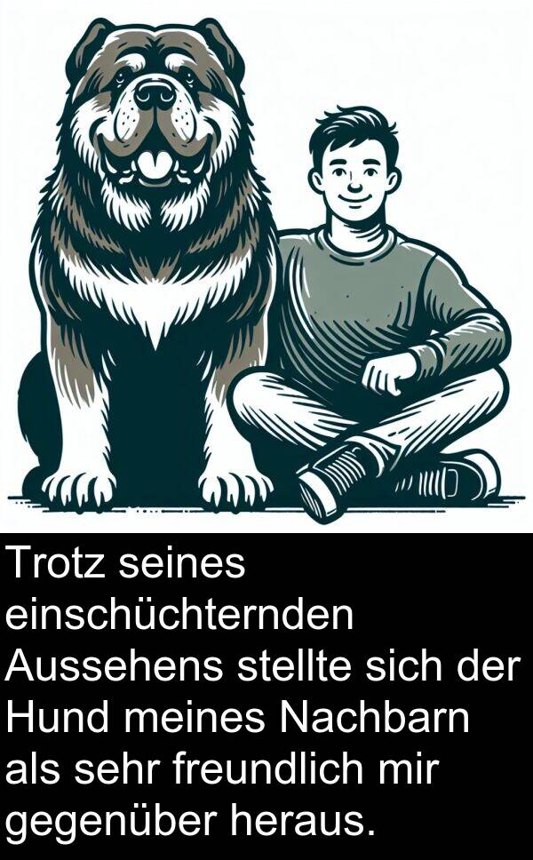 Aussehens: Trotz seines einschüchternden Aussehens stellte sich der Hund meines Nachbarn als sehr freundlich mir gegenüber heraus.