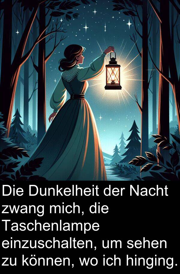 Dunkelheit: Die Dunkelheit der Nacht zwang mich, die Taschenlampe einzuschalten, um sehen zu können, wo ich hinging.