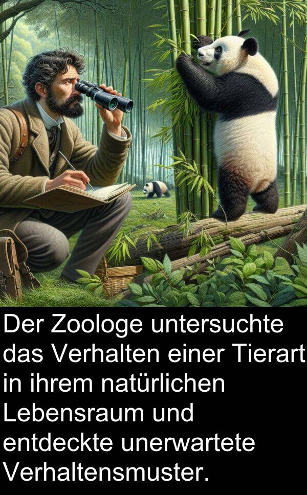 untersuchte: Der Zoologe untersuchte das Verhalten einer Tierart in ihrem natürlichen Lebensraum und entdeckte unerwartete Verhaltensmuster.
