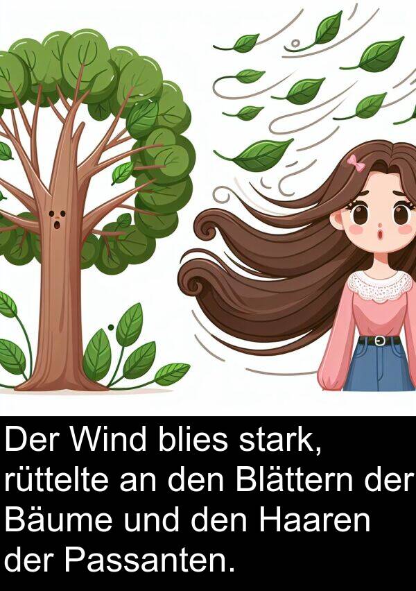 Wind: Der Wind blies stark, rüttelte an den Blättern der Bäume und den Haaren der Passanten.