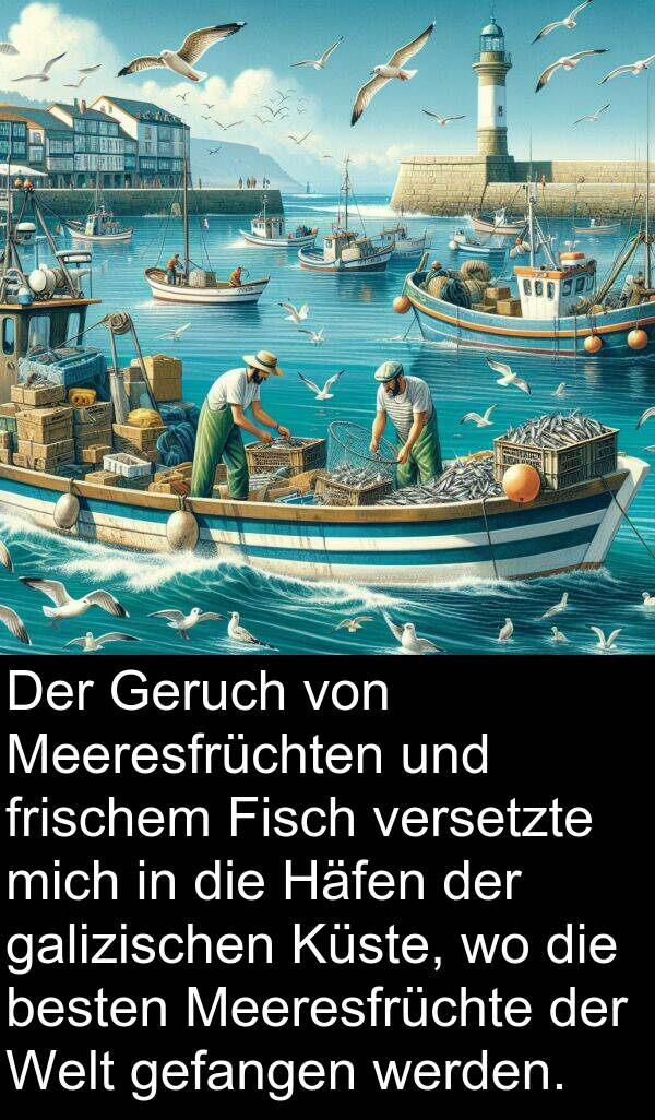 frischem: Der Geruch von Meeresfrüchten und frischem Fisch versetzte mich in die Häfen der galizischen Küste, wo die besten Meeresfrüchte der Welt gefangen werden.