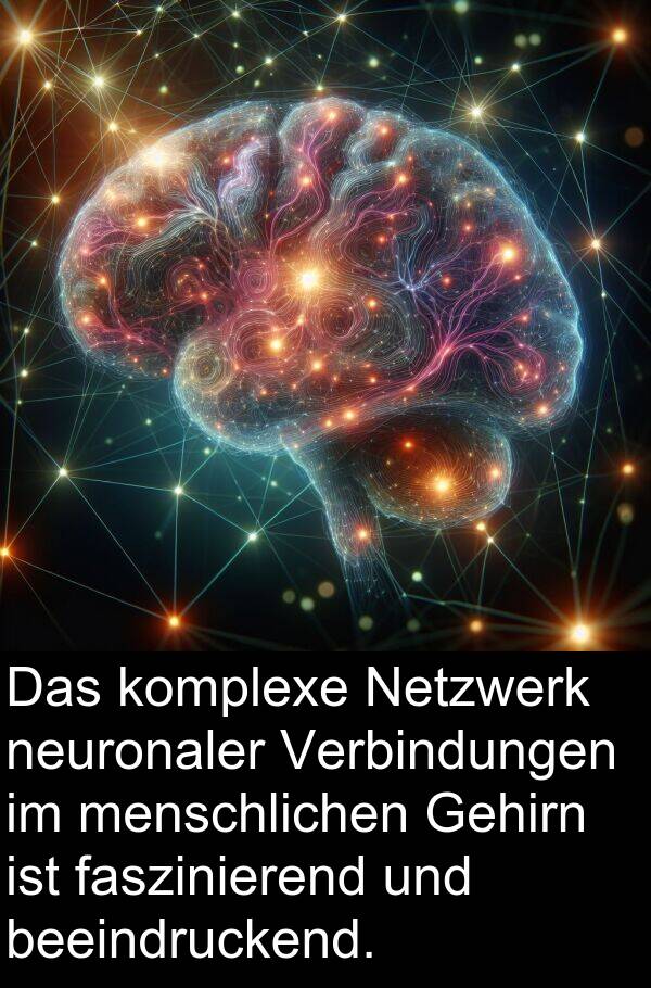faszinierend: Das komplexe Netzwerk neuronaler Verbindungen im menschlichen Gehirn ist faszinierend und beeindruckend.