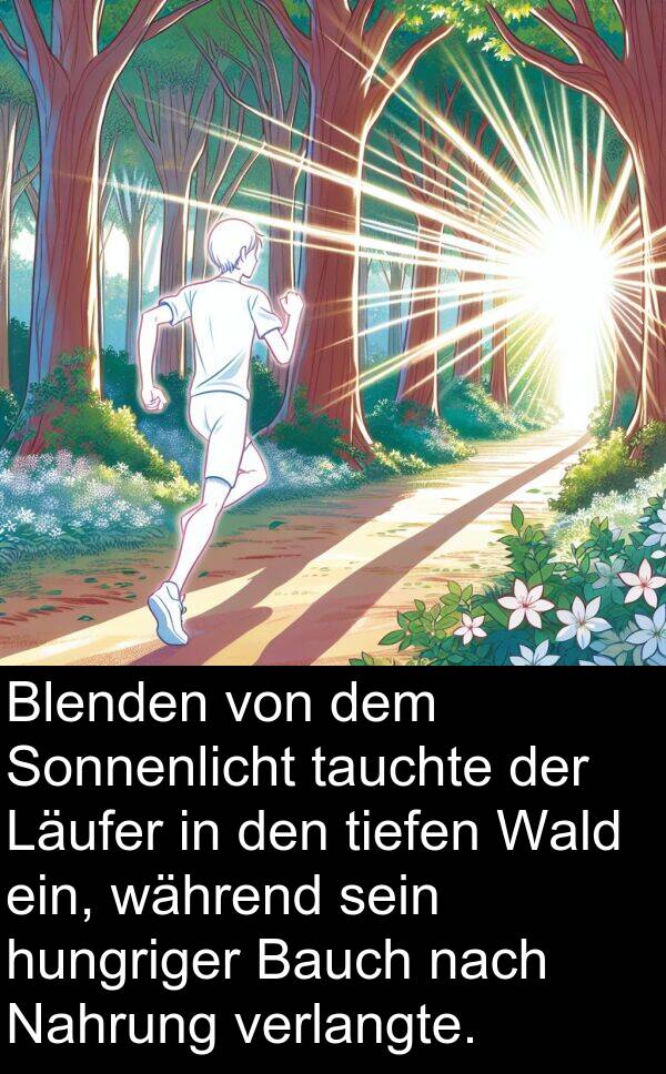 Wald: Blenden von dem Sonnenlicht tauchte der Läufer in den tiefen Wald ein, während sein hungriger Bauch nach Nahrung verlangte.