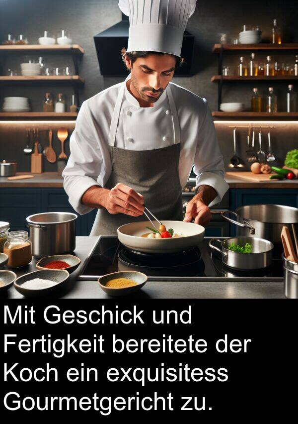 Fertigkeit: Mit Geschick und Fertigkeit bereitete der Koch ein exquisitess Gourmetgericht zu.