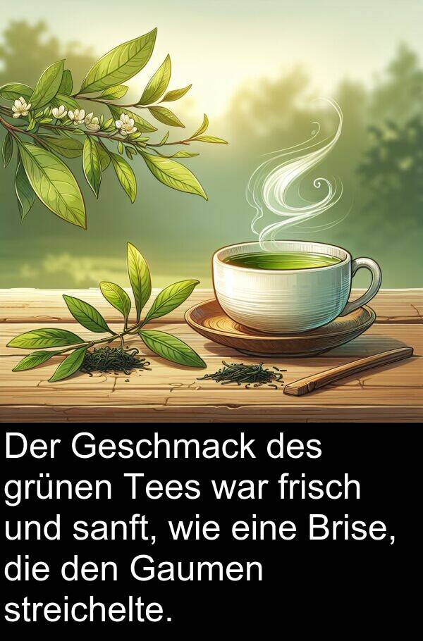 sanft: Der Geschmack des grünen Tees war frisch und sanft, wie eine Brise, die den Gaumen streichelte.
