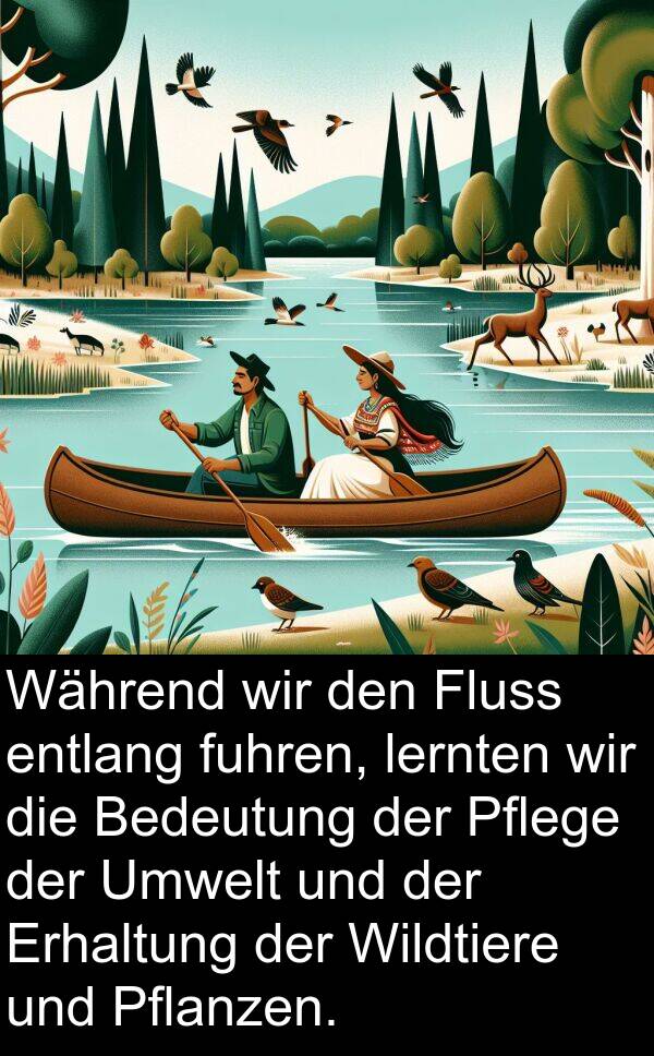 Wildtiere: Während wir den Fluss entlang fuhren, lernten wir die Bedeutung der Pflege der Umwelt und der Erhaltung der Wildtiere und Pflanzen.