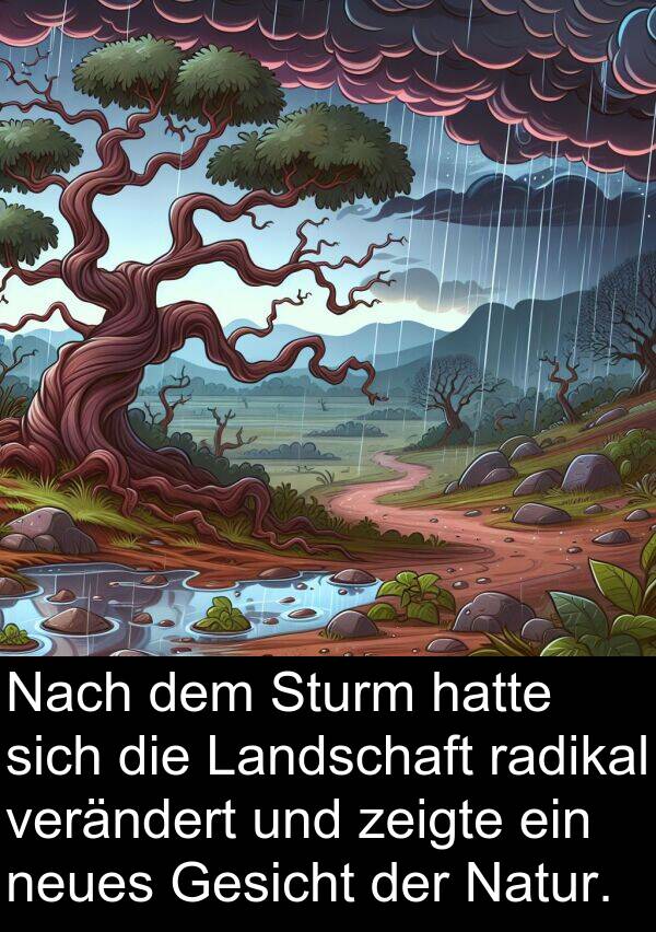 zeigte: Nach dem Sturm hatte sich die Landschaft radikal verändert und zeigte ein neues Gesicht der Natur.