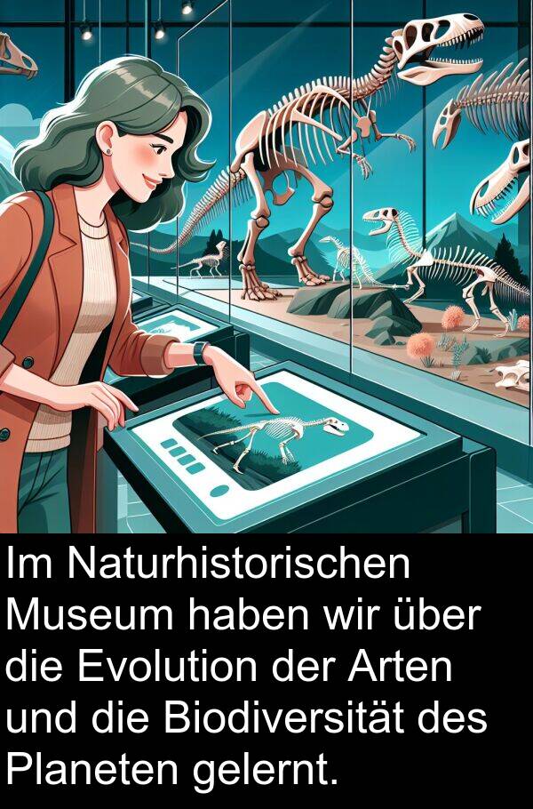 Museum: Im Naturhistorischen Museum haben wir über die Evolution der Arten und die Biodiversität des Planeten gelernt.