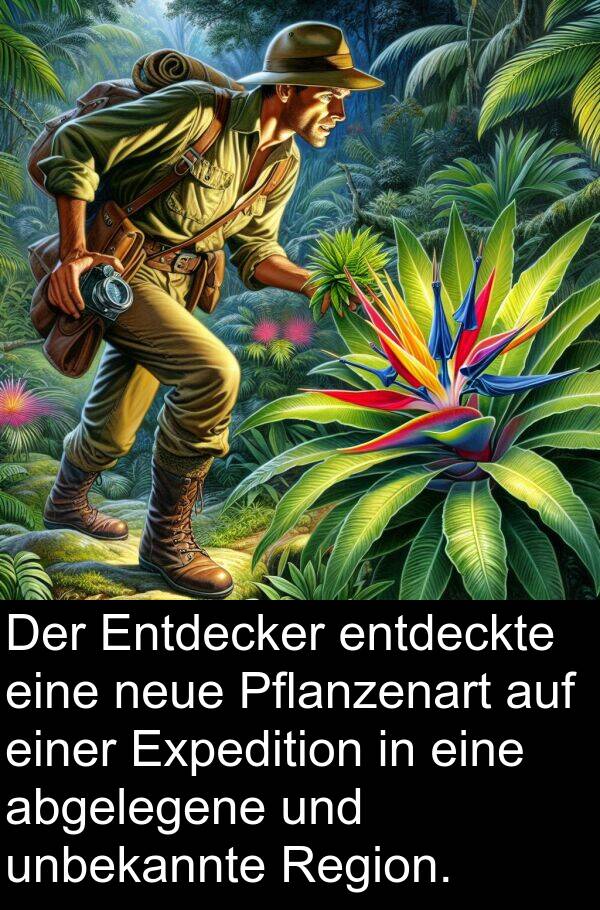 abgelegene: Der Entdecker entdeckte eine neue Pflanzenart auf einer Expedition in eine abgelegene und unbekannte Region.