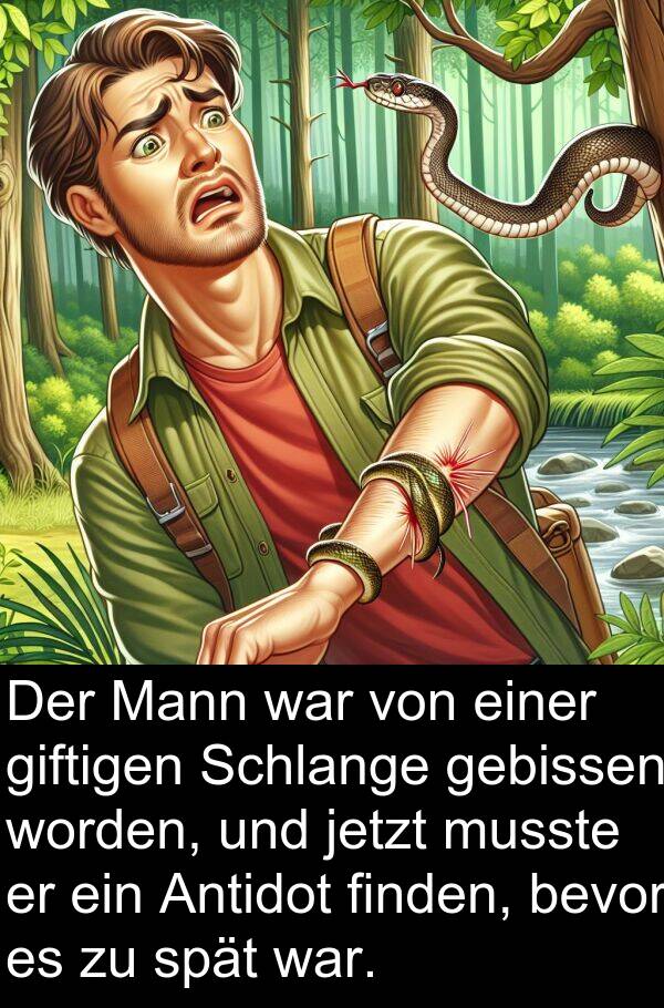 jetzt: Der Mann war von einer giftigen Schlange gebissen worden, und jetzt musste er ein Antidot finden, bevor es zu spät war.