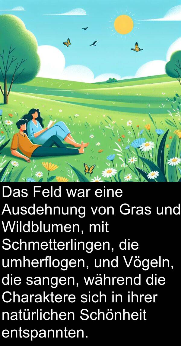 Feld: Das Feld war eine Ausdehnung von Gras und Wildblumen, mit Schmetterlingen, die umherflogen, und Vögeln, die sangen, während die Charaktere sich in ihrer natürlichen Schönheit entspannten.
