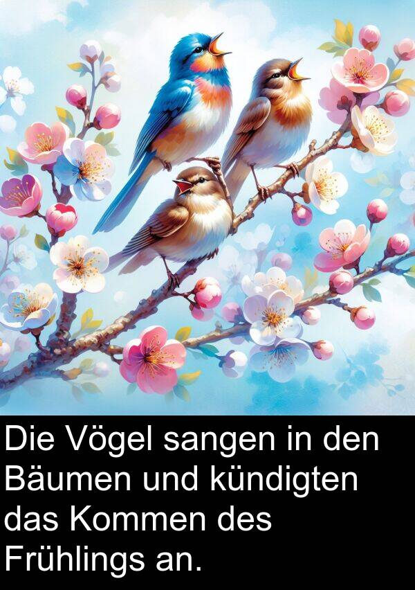 Frühlings: Die Vögel sangen in den Bäumen und kündigten das Kommen des Frühlings an.