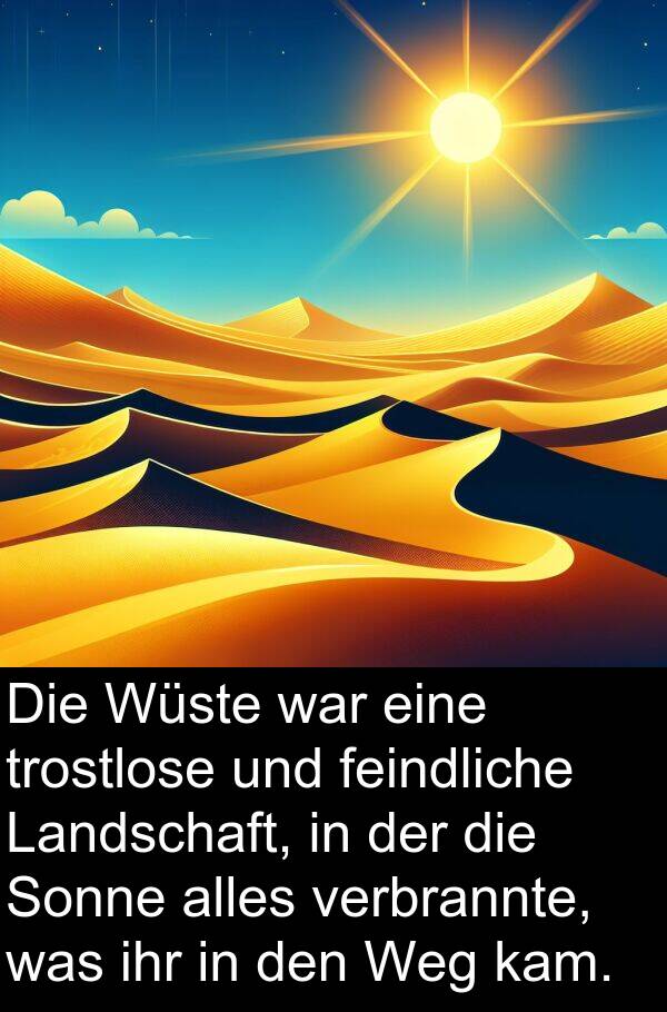 verbrannte: Die Wüste war eine trostlose und feindliche Landschaft, in der die Sonne alles verbrannte, was ihr in den Weg kam.