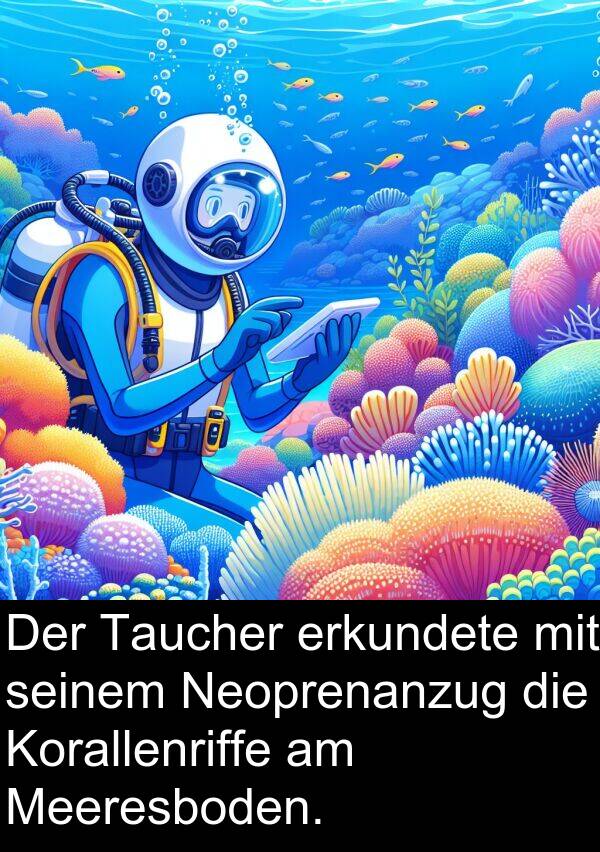 Taucher: Der Taucher erkundete mit seinem Neoprenanzug die Korallenriffe am Meeresboden.