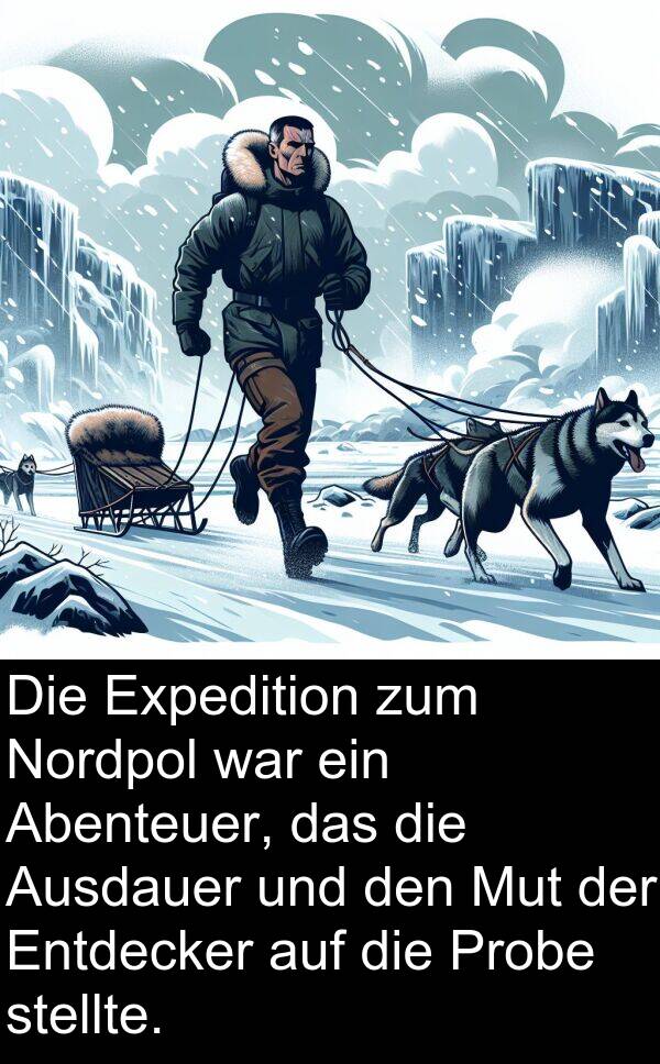 Mut: Die Expedition zum Nordpol war ein Abenteuer, das die Ausdauer und den Mut der Entdecker auf die Probe stellte.