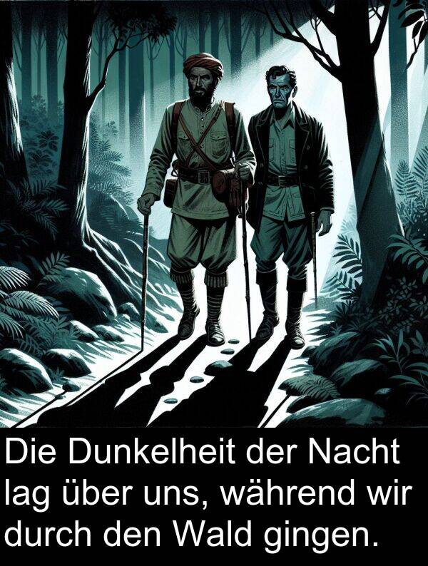 Wald: Die Dunkelheit der Nacht lag über uns, während wir durch den Wald gingen.