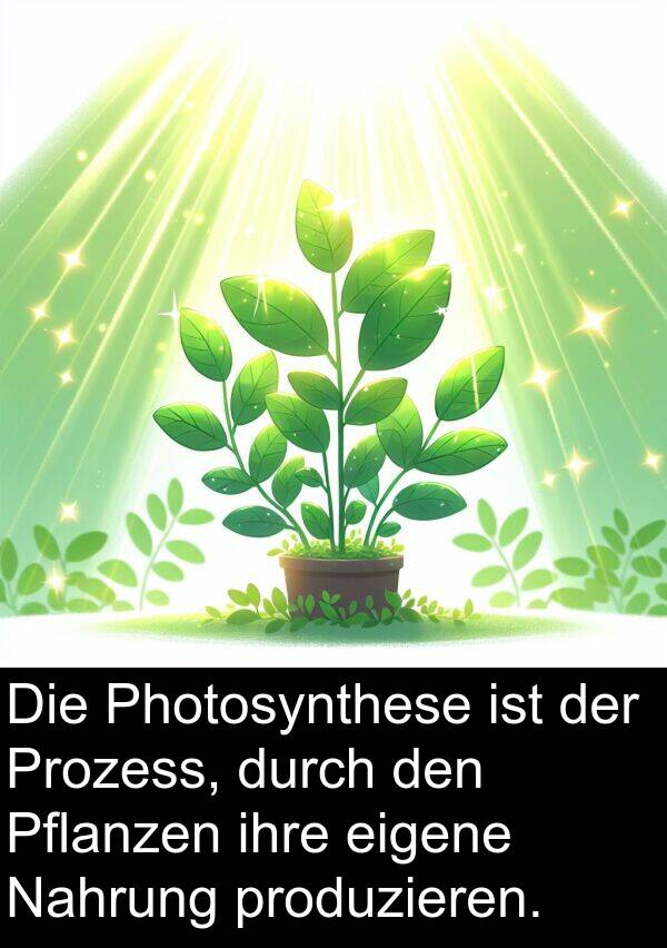Prozess: Die Photosynthese ist der Prozess, durch den Pflanzen ihre eigene Nahrung produzieren.