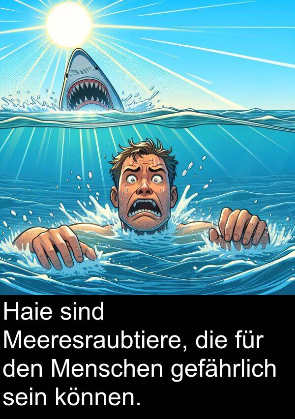 Haie: Haie sind Meeresraubtiere, die für den Menschen gefährlich sein können.