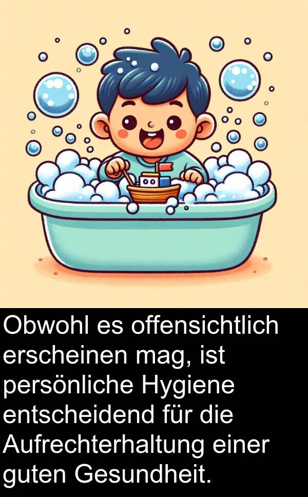Aufrechterhaltung: Obwohl es offensichtlich erscheinen mag, ist persönliche Hygiene entscheidend für die Aufrechterhaltung einer guten Gesundheit.