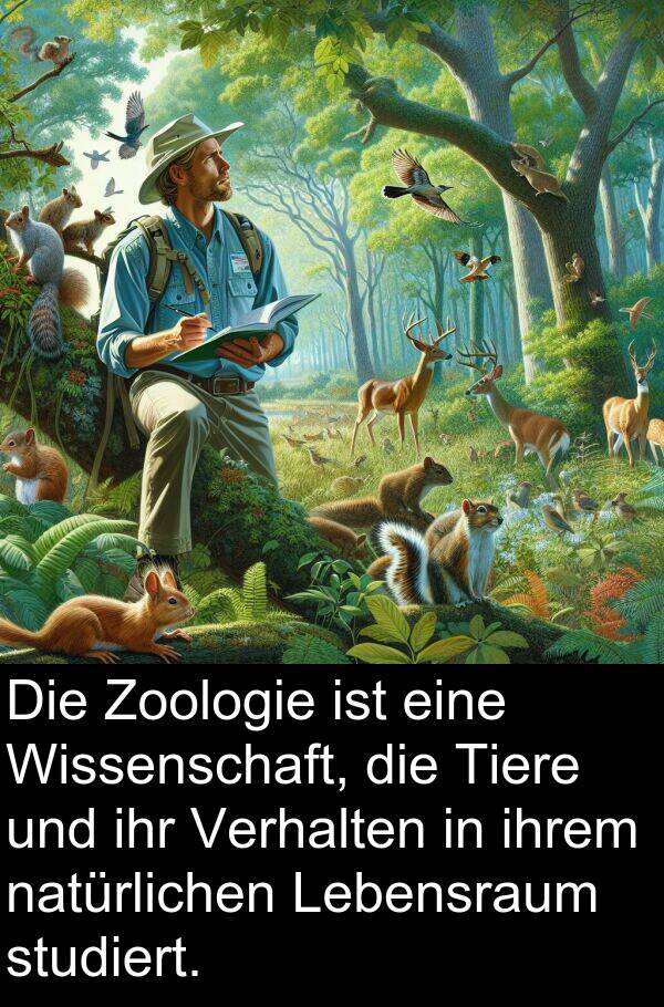 Wissenschaft: Die Zoologie ist eine Wissenschaft, die Tiere und ihr Verhalten in ihrem natürlichen Lebensraum studiert.