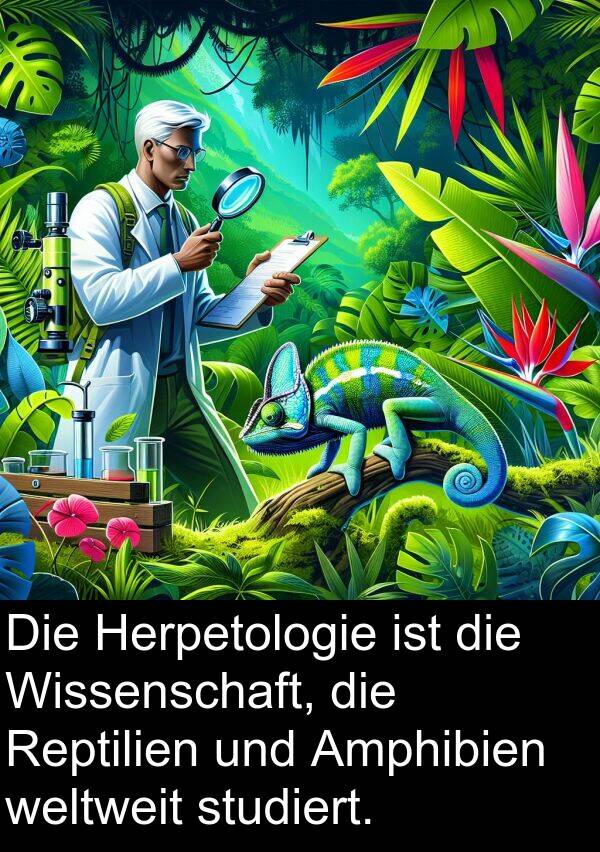 Wissenschaft: Die Herpetologie ist die Wissenschaft, die Reptilien und Amphibien weltweit studiert.