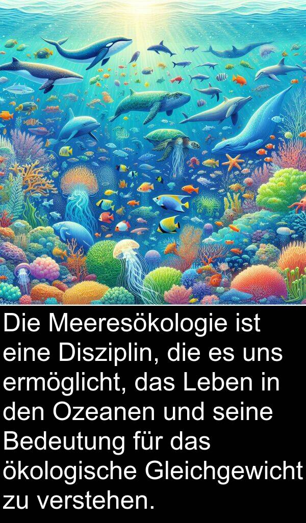 Disziplin: Die Meeresökologie ist eine Disziplin, die es uns ermöglicht, das Leben in den Ozeanen und seine Bedeutung für das ökologische Gleichgewicht zu verstehen.