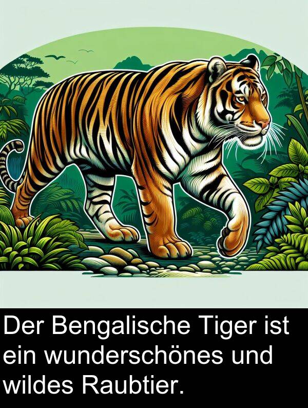 Raubtier: Der Bengalische Tiger ist ein wunderschönes und wildes Raubtier.