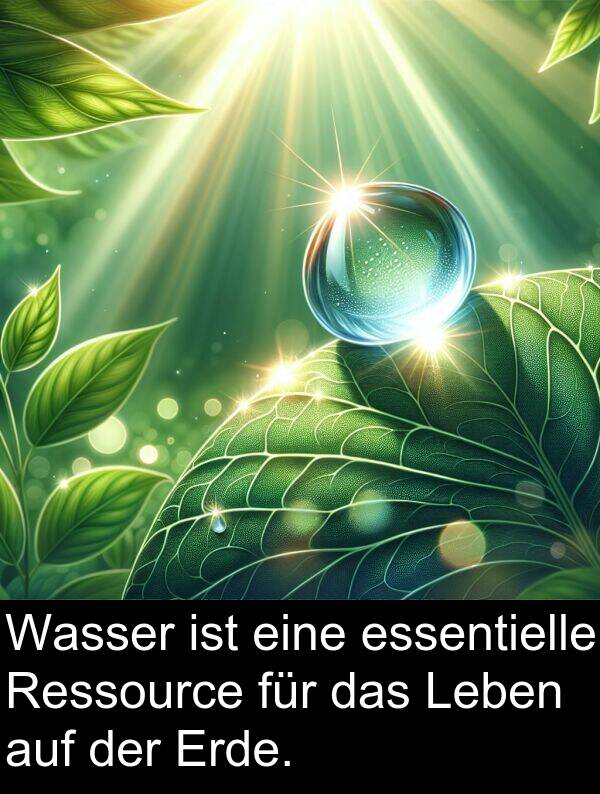 Ressource: Wasser ist eine essentielle Ressource für das Leben auf der Erde.