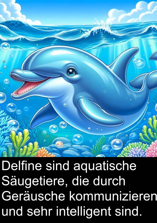 Delfine: Delfine sind aquatische Säugetiere, die durch Geräusche kommunizieren und sehr intelligent sind.